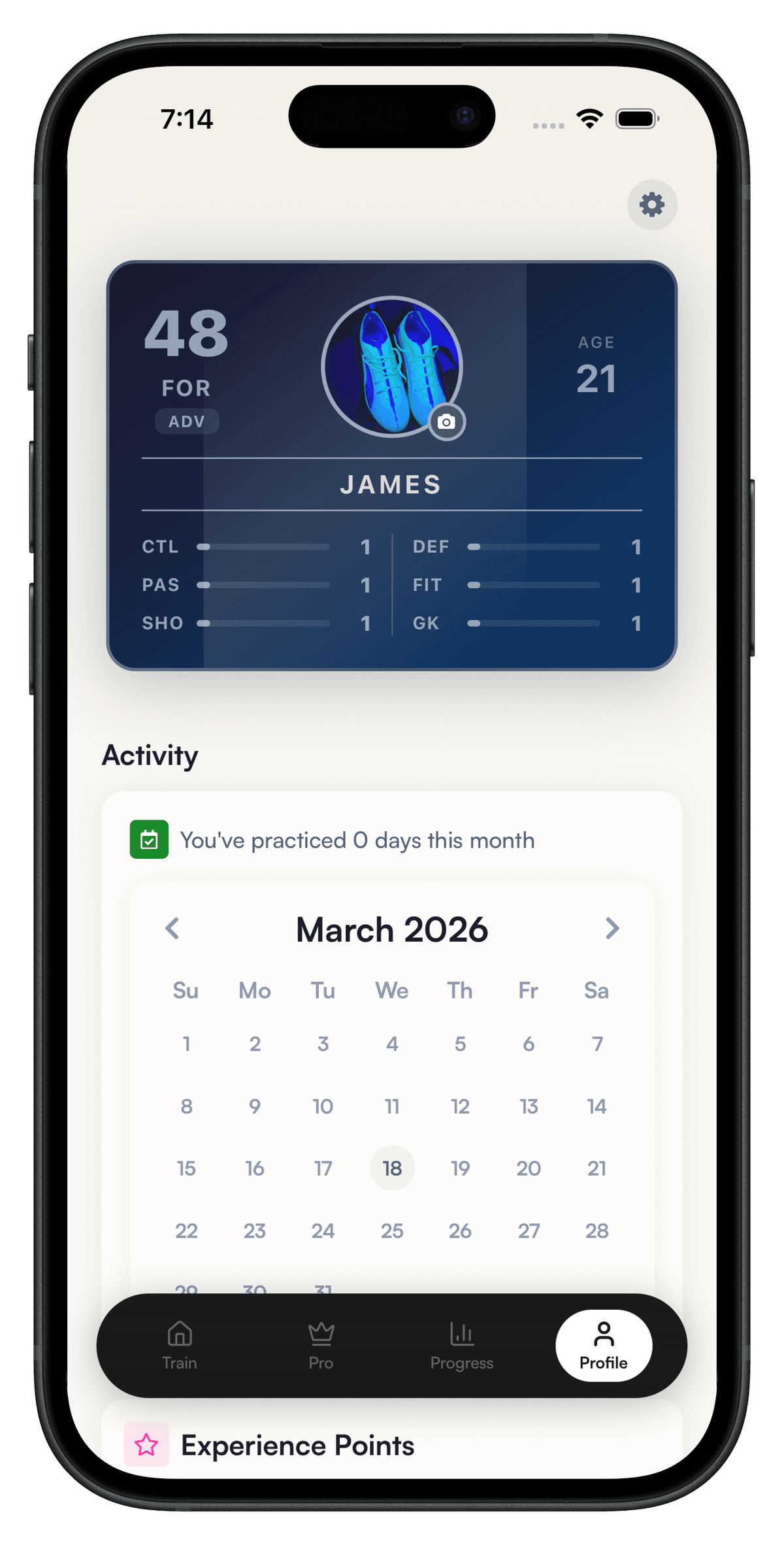 Player stats card with skill ratings and activity calendar